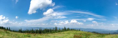 Beautiful summer landscape, mountain meadow among the Carpathian mountains