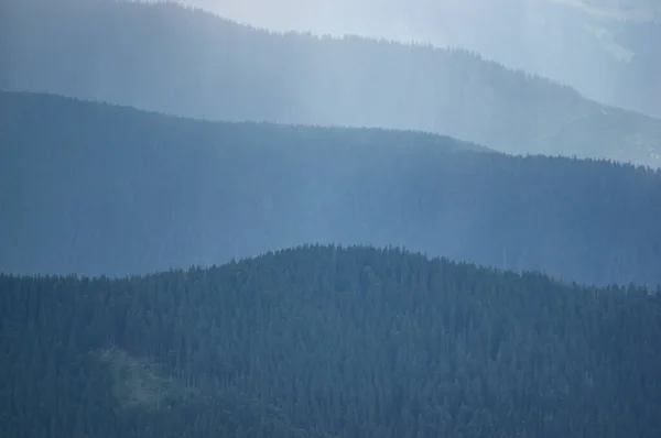 Карпатські Гори Ліси Тумані Літній День Прекрасний Пейзаж — стокове фото