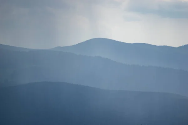 Carpathian Mountains Forests Haze Summer Day Beautiful Landscape — Stock Photo, Image