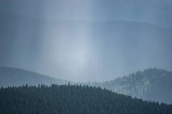 Carpathian Mountains Forests Haze Summer Day Beautiful Landscape — Stockfoto