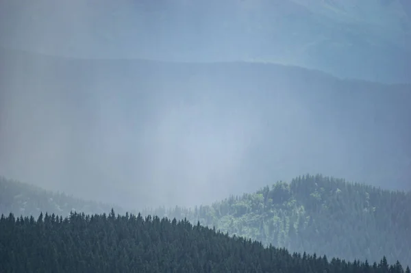 Карпатські Гори Ліси Тумані Літній День Прекрасний Пейзаж — стокове фото