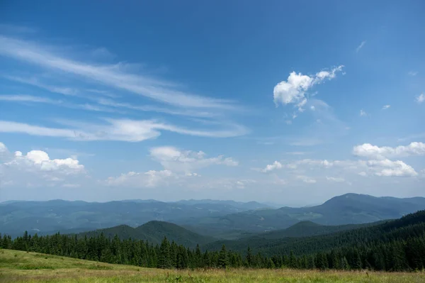 Schöne Sommerlandschaft Bergwiese Inmitten Der Karpaten — Stockfoto