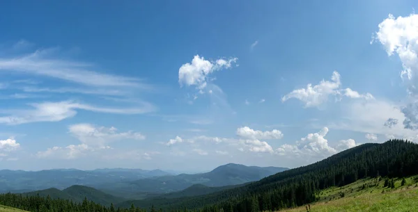 Schöne Sommerlandschaft Bergwiese Inmitten Der Karpaten — Stockfoto