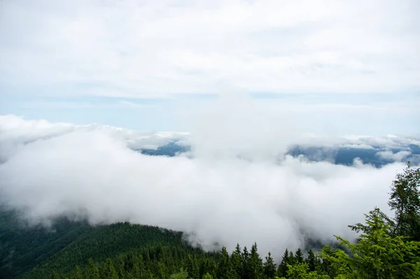 山の中の朝の霧ウクライナの美しい夏の風景 — ストック写真