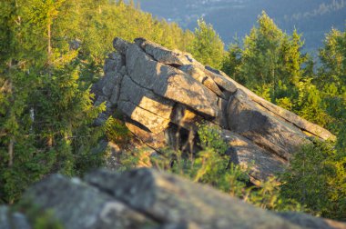 Karpat Dağları 'nın arka planında, ormanın ortasındaki kayalar.