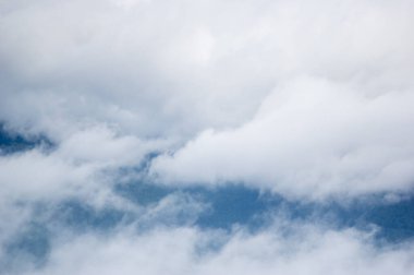 Karpat dağlarında bir yaz sabahı sisli bir orman.