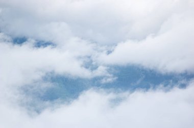 Karpat dağlarında bir yaz sabahı sisli bir orman.