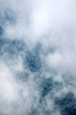 Karpat dağlarının üzerinde sis var.