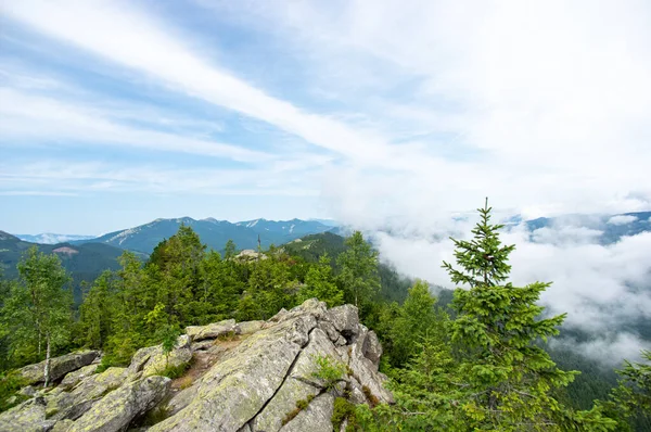 Roca Entre Bosque Fondo Las Montañas Cárpatos —  Fotos de Stock