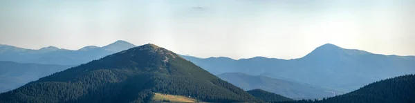 Panorama Forest Fog Summer Carpathian Mountains — Stock Photo, Image