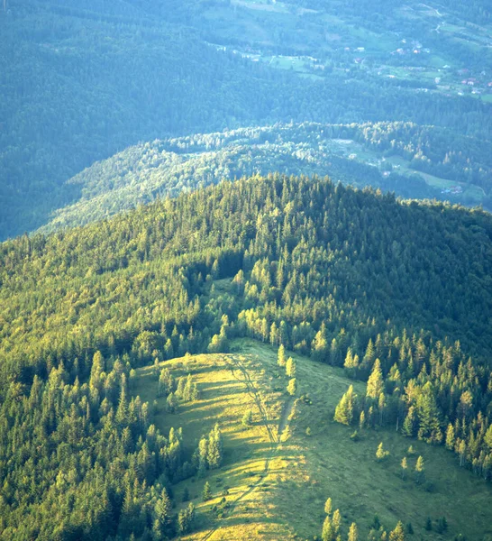 Mountain Meadow Woods Ukrainian Carpathians — Stock Photo, Image