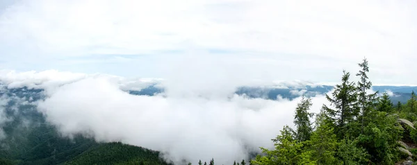 Panorama Forêt Dans Brouillard Été Dans Les Montagnes Des Carpates — Photo