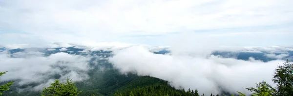 カルパチア山脈の森の上の霧 — ストック写真