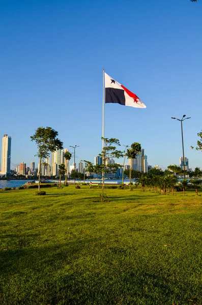 Bandera Panamá Izaba Mástil Ondeando Viento Espacio Abierto Cubierto Hierba —  Fotos de Stock