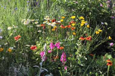 bir çim üzerinde çok renkli flowerbed