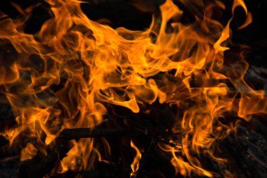 Ormanda şenlik ateşi.