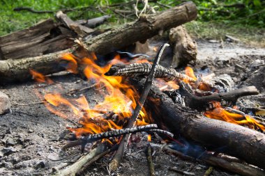 Ormanda şenlik ateşi.