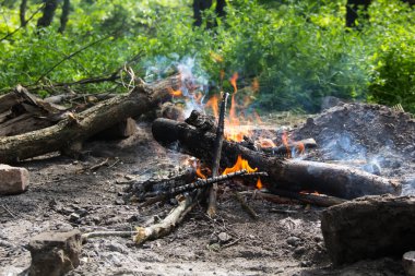 Ormanda şenlik ateşi.