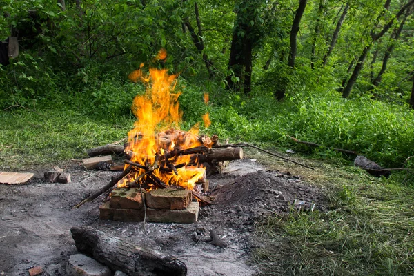 Bonfire in the forest. — Stock Photo, Image