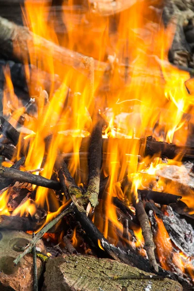 Bonfire in the forest. — Stock Photo, Image