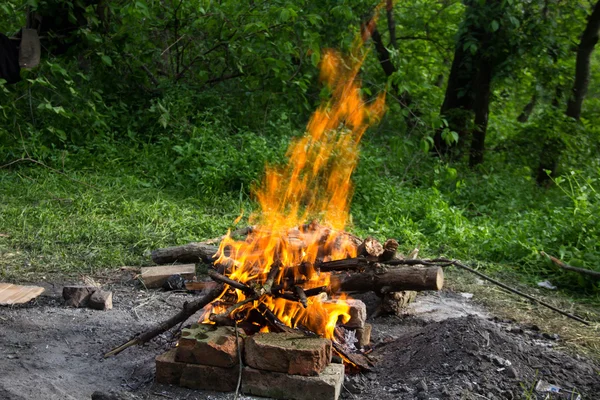 Bonfire in the forest. — Stock Photo, Image