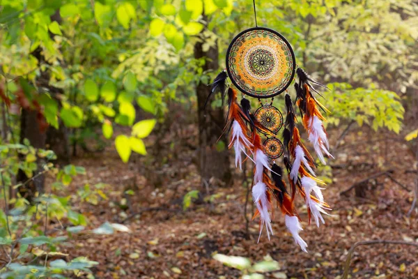 Dream Catcher Feathers Threads Beads Rope Hanging Dreamcatcher Handmade — Stock Photo, Image