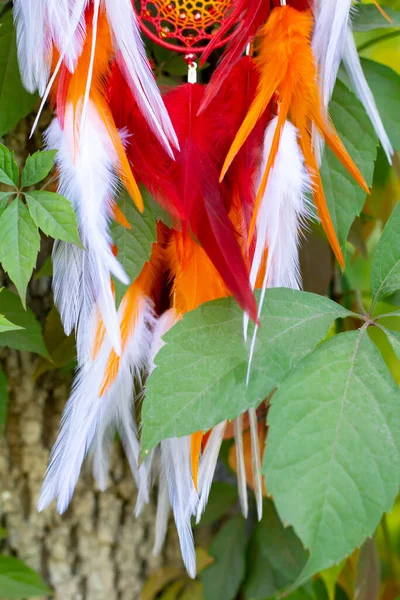 Chyták Snů Peřím Korálky Zavěšenými Provazy Dreamcatcher Ruční Výroba — Stock fotografie