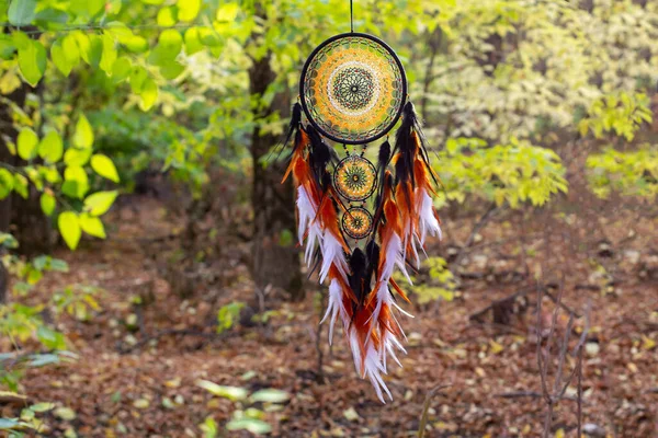 Dream Catcher Feathers Threads Beads Rope Hanging Dreamcatcher Handmade — Stock Photo, Image