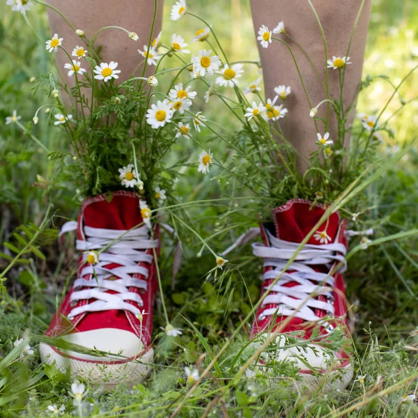 Patas Desnudas Zapatillas Rojas Con Ramo Manzanillas Blancas Hierba Verde — Foto de Stock