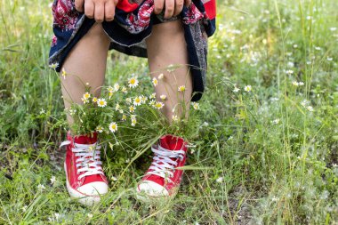 Yukarı kaldırılmış etek ve kırmızı spor ayakkabılarla çıplak bacaklar yeşil çimlerde bir buket beyaz papatya. Yaz konsepti