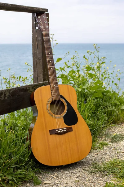 acoustic guitar stands near the fence in the green grass against the background of the sea. romantic music sound concept on the beach