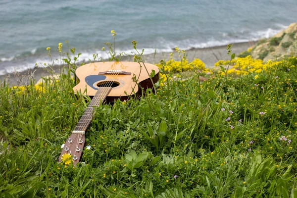 Gitara Akustyczna Leżąca Zielonej Trawie Tle Morza Romantyczna Koncepcja Dźwięku — Zdjęcie stockowe