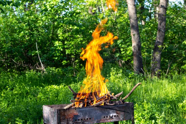 Firewood Grill Burns Bright Orange Flame Fire Natural Green Background — Stock Photo, Image