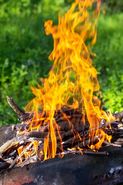 Firewood Grill Burns Bright Orange Flame Fire Natural Green Background — Stock Photo, Image