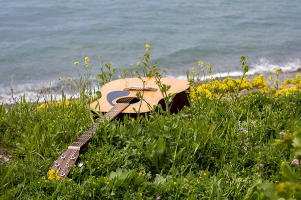 Gitara Akustyczna Leżąca Zielonej Trawie Tle Morza Romantyczna Koncepcja Dźwięku — Zdjęcie stockowe