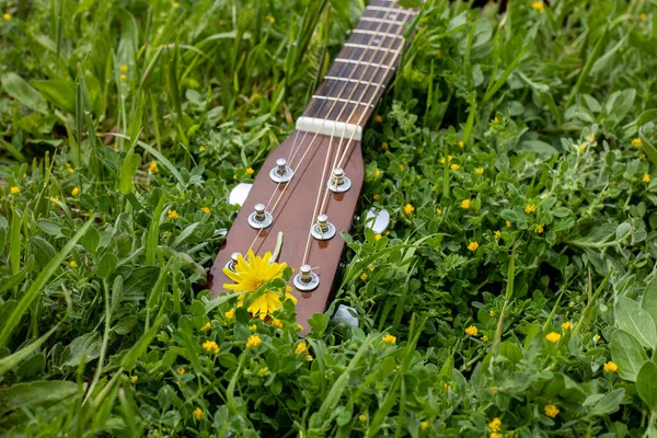 배경의 잔디에 해변에서의 낭만적 음악적 — 스톡 사진