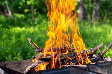Izgaradaki yakacak odun, doğal yeşil arka planda parlak turuncu bir ateş alevi ile yanıyor. Doğadaki ızgarada et pişirme hazırlığı