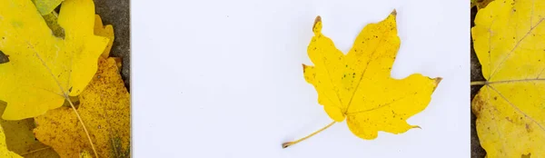 Banner Bloco Notas Encontra Uma Pedra Amarelo Brilhante Verde Esculpido — Fotografia de Stock