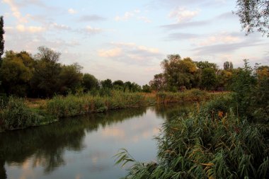 manzara. Nehir banka