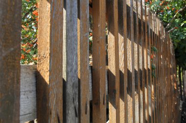 Ülke sahne güneşli gün.