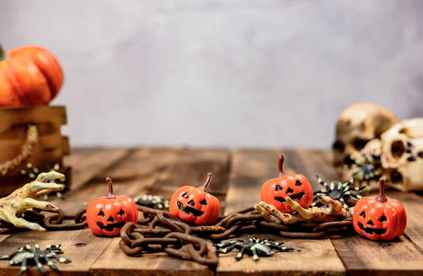 Halloween Decoration Trick Treat Autumn Fall Season Pumpkin Face Scary — Stock Photo, Image