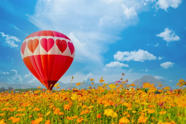 Colorido Globo Aerostático Volando Parque Natural Jardín Actividades Aire Libre — Foto de Stock