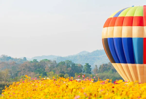 自然公園や庭園でカラフルな熱気球が飛んでいます タイ王国での屋外アクティビティと旅行 — ストック写真