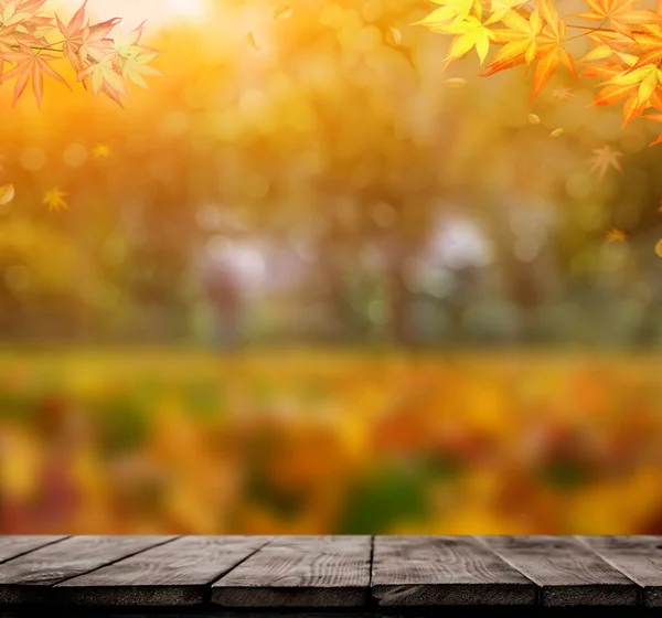 stock image Fall and Autumn season background with wooden table.