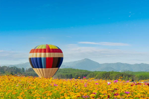 Pallone Aerostatico Colorato Che Vola Parco Naturale Giardino Viaggio Thailandia — Foto Stock