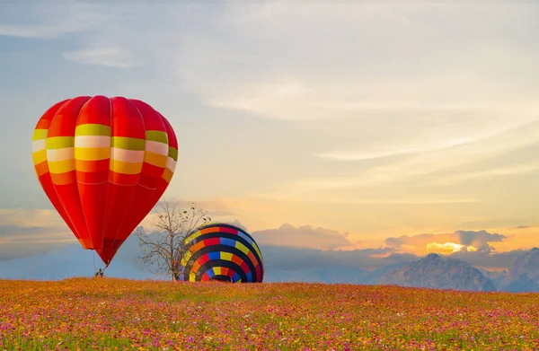 自然公園や庭園でカラフルな熱気球が飛んでいます タイ旅行とアウトドアアドベンチャーアクティビティ — ストック写真