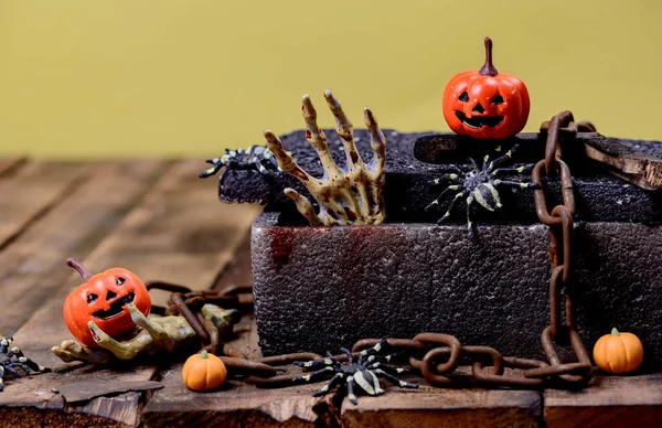 Halloween Decoration Trick Treat Autumn Fall Season Pumpkin Face Scary — Stock Photo, Image