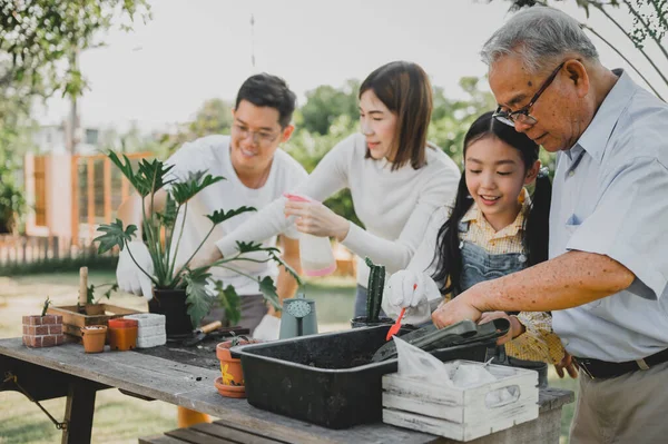 Keluarga Asia Menanam Pohon Kebun Rumah Orangtua Dengan Gaya Hidup — Stok Foto