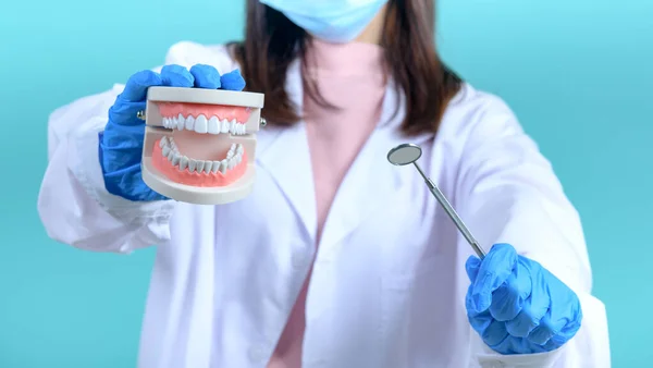 Mujer Dentista Sosteniendo Modelo Diente Equipo Sobre Fondo Pantalla Azul — Foto de Stock