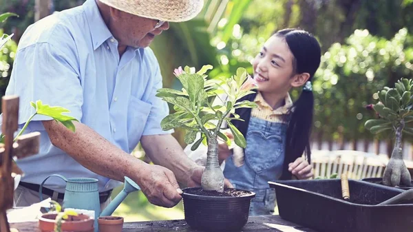 Kakek Dan Cucu Penanaman Pohon Kebun Rumah Gaya Hidup Pensiun — Stok Foto
